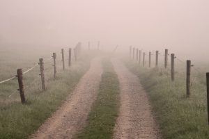 Ein landwirtschaftlicher Wirtschaftsweg im Nebel