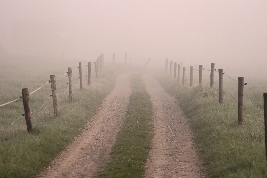 Ein landwirtschaftlicher Wirtschaftsweg im Nebel